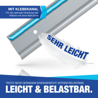 Airlineschiene Zurrschiene 2 x 2 m 2 Meter halbrund m. Bohrungen u. Fitting Plastik